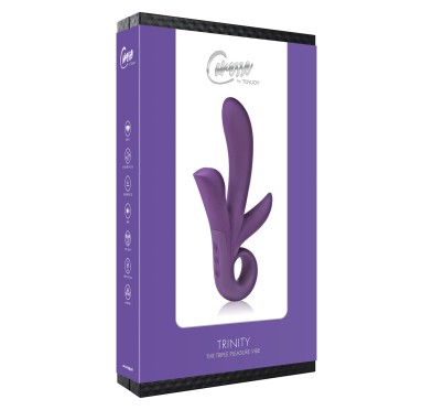 Wibrator-TRINITY VIBRATOR PURPLE